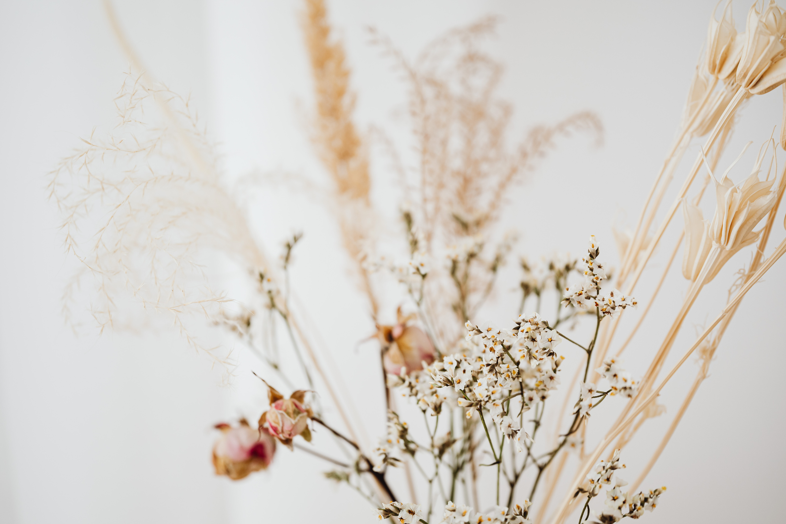 An Arrangement of Assorted Fresh and Dried Flowers