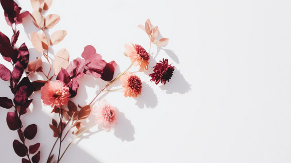 Dried Flowers in White Background