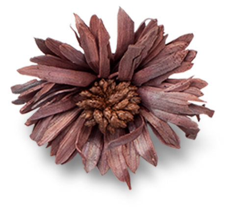 Dried Flower Cutout